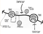 Field analysis, design and construction plans including trail design, trail layout, trail flagging, trail master planning, greenway planning, trails and greenways master planning, public involvement