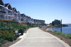 Site conditions evaluation, hardscape and softscape design, greenspace design, streetscape design
