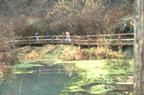 Field analysis, design and construction plans including trail design, trail layout, trail flagging, trail master planning, greenway planning, trails and greenways master planning, public involvement