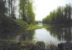 Site analysis, park master planning, park design, trail planning, healing garden design, public involvement