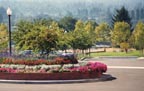 Site conditions evaluation, hardscape and softscape design, greenspace design, streetscape design